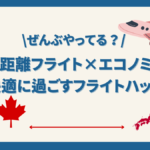 長距離フライトを快適に過ごすおすすめグッズ